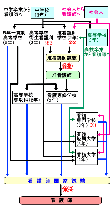 看護師になるための順序(ルート)フロー図